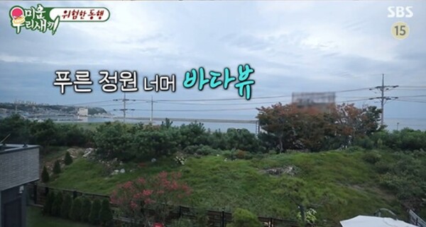 출처: SBS '미운 우리 새끼' 방송화면