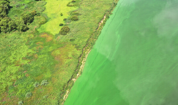 낙동강. 출처: 한겨레, 연합뉴스