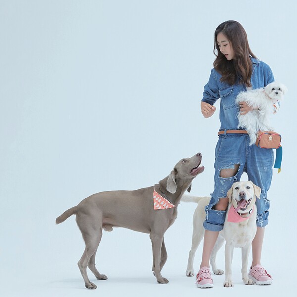 [Hey, Training!] 반려견들이 보이는 행동의 의미