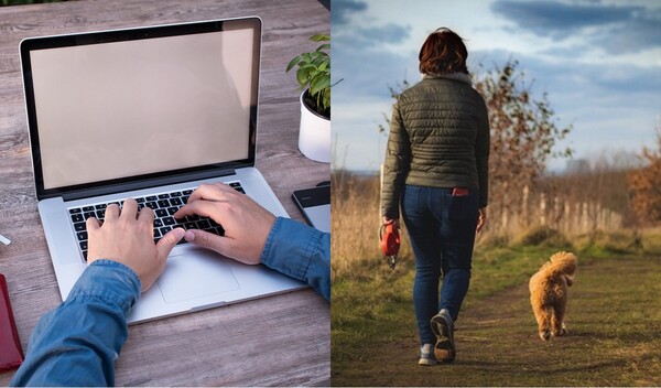 일하는 모습(좌), 산책하는 모습(우) 출처: 픽사베이