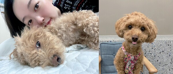 “밥 잘 먹는 예쁜 강아지” 하현정 아나운서와 ‘보고’의 일상을 소개합니다