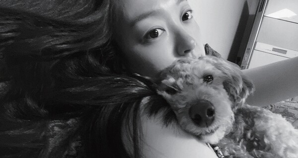 “밥 잘 먹는 예쁜 강아지” 하현정 아나운서와 ‘보고’의 일상을 소개합니다