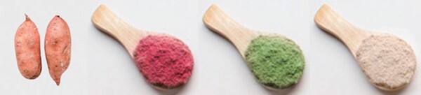 강아지들이 사랑하는 겨울 간식, 고구마에 코코넛을 더하면?