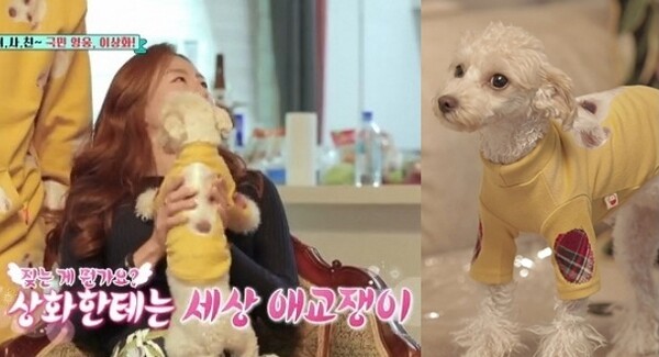 전 스피드스케이팅 국가대표 이상화와 반려견 강북이 / 출처 = TV조선