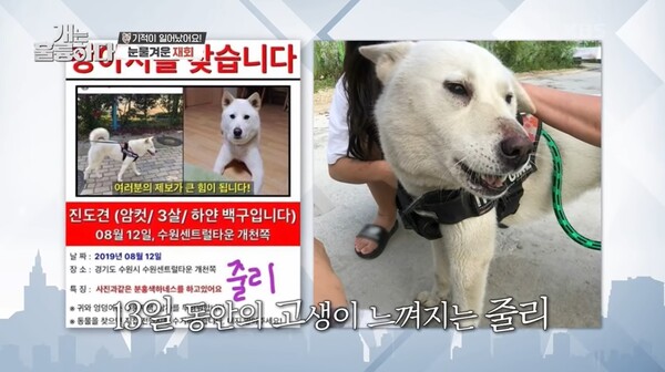 개는 훌륭하다 / 출처 = KBS2