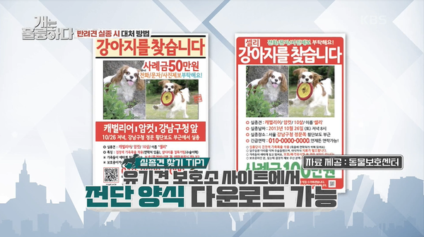 개는 훌륭하다 / 출처 = KBS2