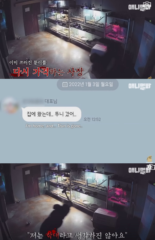 서울 마포구에 위치한 한 동물카페에서 끔찍한 사건이 발생했다. ⓒ유튜브 채널 'SBS TV동물농장X애니멀봐'