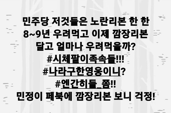 이태원 참사 희생자 유가족들과 더불어민주당을 향해 막말을 쏟아낸&nbsp;김미나(53·국민의힘·비례) 창원시의원.&nbsp;ⓒ 김미나 창원시의원 페이스북