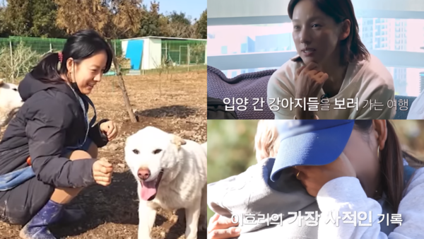 이효리&nbsp;ⓒtvN