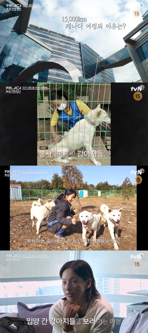 해외 입양 보낸 강아지들을 만나러 캐나다 여행에 나선 이효리.&nbsp;ⓒtvN