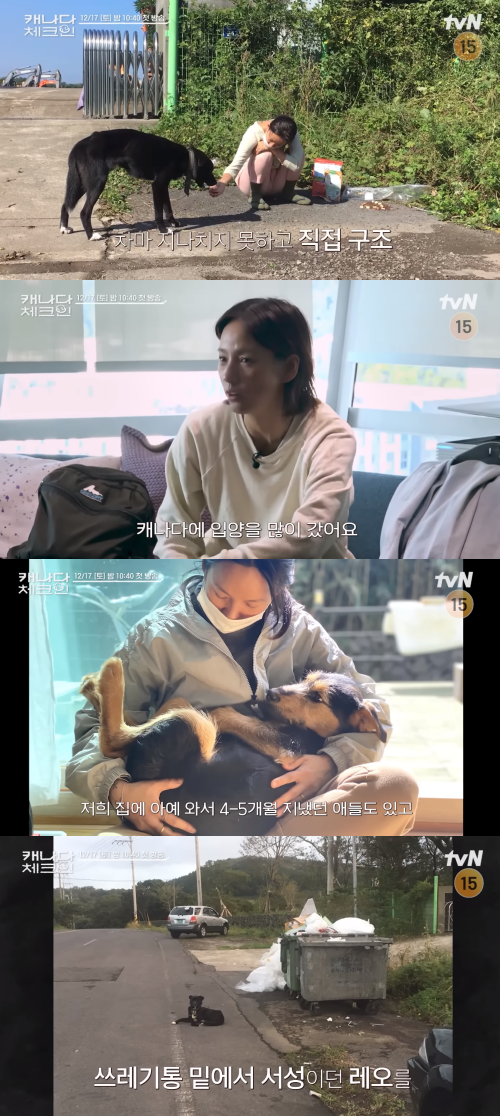 해외 입양 보낸 강아지들을 만나러 캐나다 여행에 나선 이효리.&nbsp;ⓒtvN