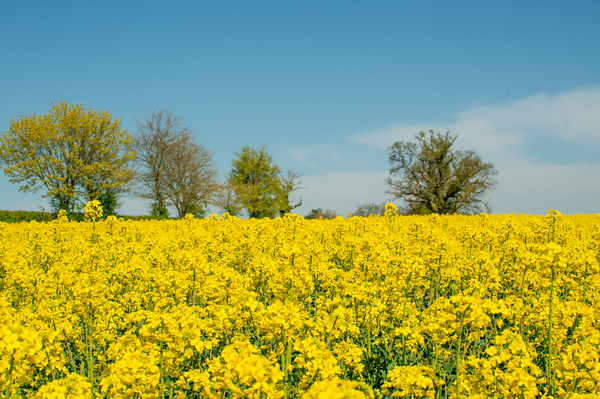 대화로 해답 찾는 과정 유명 블로그 '안녕, 사주명리'의 현묘가 사주의 찐 기능을 밝혔는데 완전 실용적이다(인터뷰)