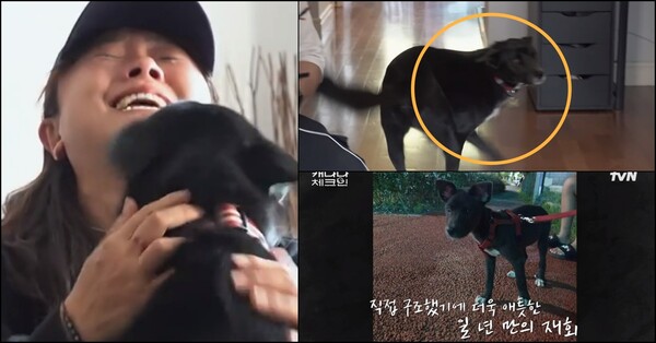 1년만의 재회. 개는 모든 걸 기억하고 있었다. ⓒ티빙