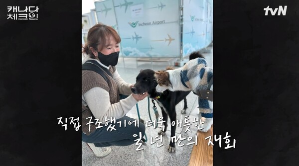 구조했을 당시의 모습 ⓒ티빙