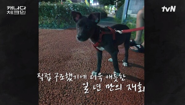 구조했을 당시의 모습 ⓒ티빙