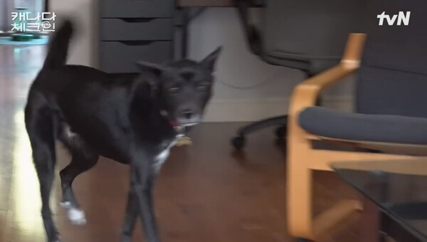 낯선 제작진들을 보고 처음엔 어리둥절한 공손 ⓒ티빙