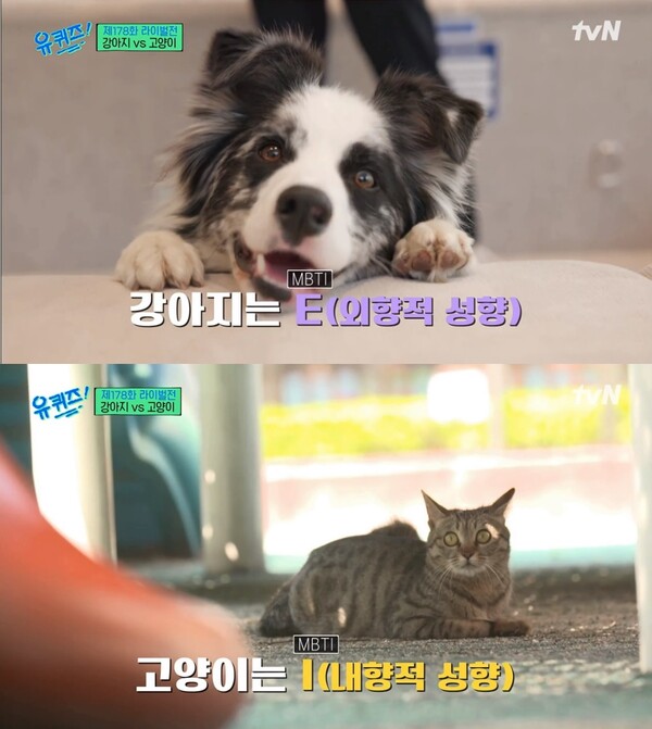 25일 방영된 tvN '유 퀴즈 온 더 블럭' 방송장면 ⓒtvN 