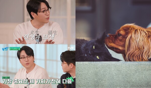 25일 방영된 tvN '유 퀴즈 온 더 블럭' 방송장면(좌), 고양이와 강아지 자료사진(우) ⓒtvN/픽사베이 