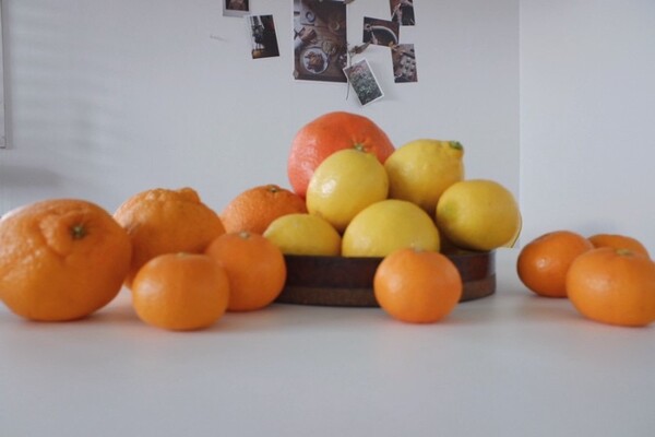 제주에서 생산된 농산물로 준비하는 웰컴푸드