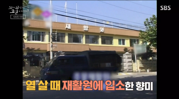 지난 2일 방영된 SBS '꼬리에 꼬리를 무는 이야기' 방송 장면&nbsp;ⓒSBS&nbsp;