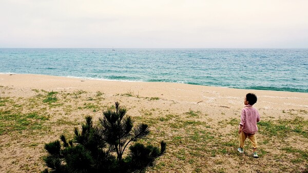 &nbsp;강릉의 상징 중 하나인 바다와 소나무