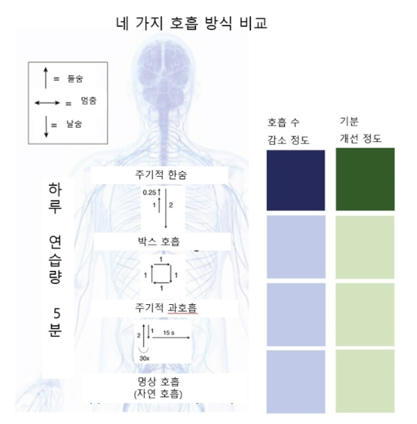 네 가지 호흡 방식 비교. ⓒ한겨레 곽노필 기자 제공