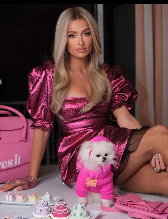 패리스 힐튼 ⓒParis Hilton instagram