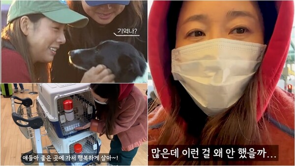 해외입양 보낸 강아지들을 만나러 간 이효리(왼)와 첫 유기견 해외 이동봉사에 나선 배우 엄지원(오). ⓒtvN '캐나다 체크인', 유튜브 채널 ‘Actor Jiwon Uhm’
