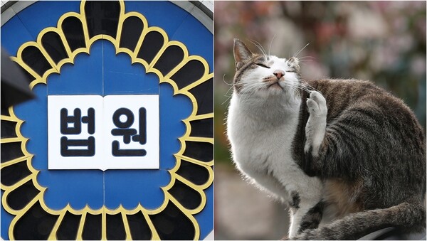 기사와 상관 없는 자료사진.&nbsp;ⓒ뉴스1