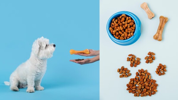 기사와 무관한 자료 사진 / 출처 = Freepik