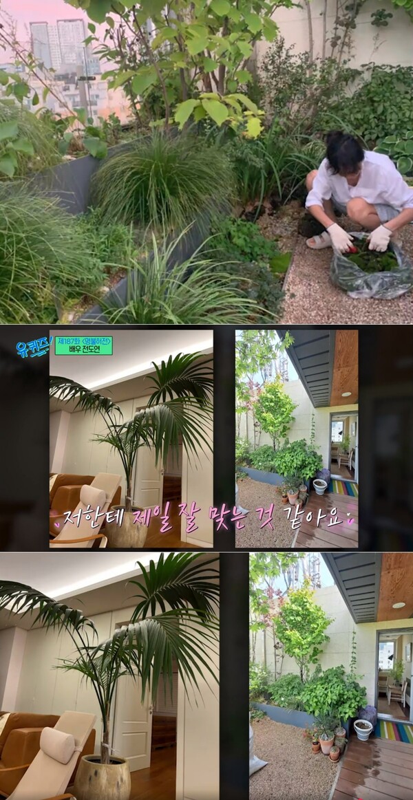 반려 식물들로 가득 찬 전도연의 집 내부 ⓒtvN&nbsp;