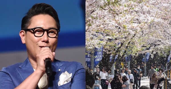 가수 윤종신(좌), 벚꽃 사진(우)&nbsp;ⓒ뉴스1