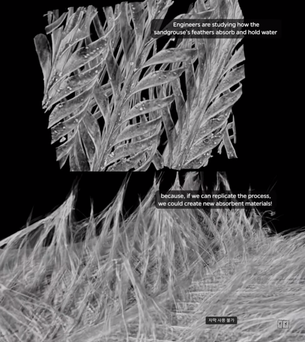 깃털의 원리 분석 위한 모델링. ⓒ존스 홉킨스 대학교 유튜브