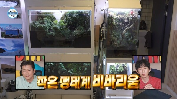 21일 MBC 예능 프로그램 '나 혼자 산다' 선공개 영상 장면 ⓒMBC