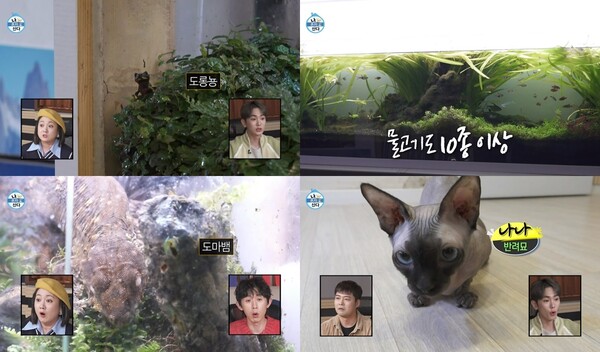 21일 MBC 예능 프로그램 '나 혼자 산다' 선공개 영상 장면 ⓒMBC