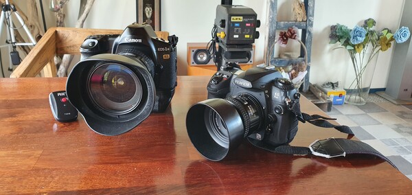 사진으로 기억을 담는 제주 에어비앤비 호스트의 이야기