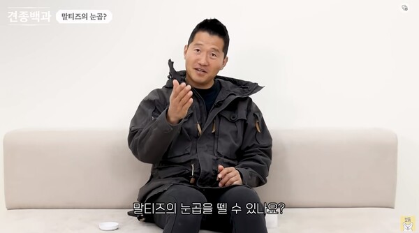 6일 유튜브 채널 '강형욱의 보듬 TV'-견종백과 말티즈 편 영상 장면 ⓒ강형욱의 보듬 TV