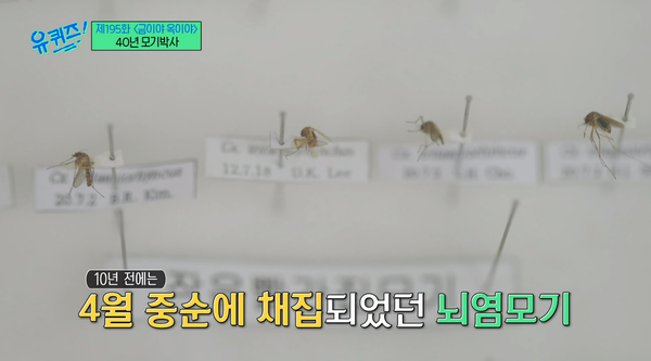 24일 tvN '유 퀴즈 온 더 블럭' 방송 장면 ⓒtvN