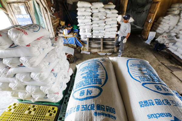 천일염 가격이 급등하고 있다. 최근 잦은 비로 인한 생산량 감소와 후쿠시마 원전 오염수 방류를 앞두고 일부 사재기에 나서면서 가격이 오른 것으로 분석된다. 사진은 12일 경기 화성시 공생염전 소금창고의 모습. 2023.6.12ⓒ뉴스1