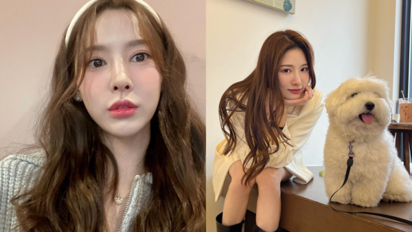 이나연, 반려견 밤비. ⓒ이나연 인스타그램