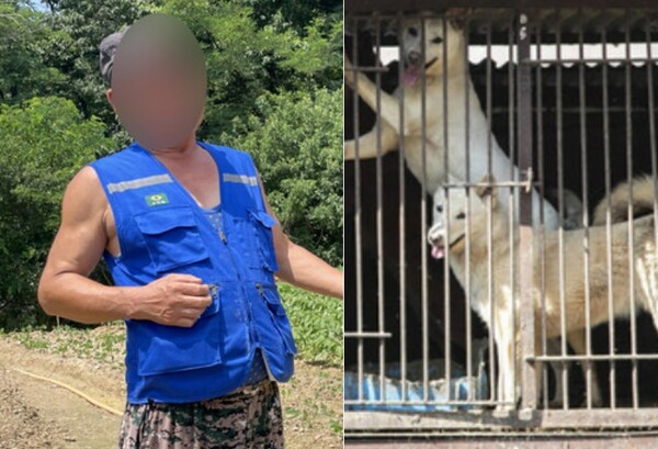 농장주 양아무개씨, 폐업 전 아산 개농장 모습&nbsp; ⓒ한겨레/한국HSI제공