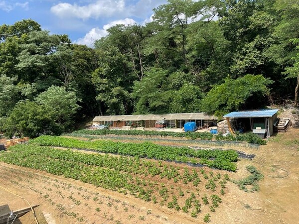 충남 아산에서 개농장을 운영하던 농장주 양아무개씨는 30년간 ‘식용 개’를 사육하다 지난 3월 폐업했다. 뜬장이 철거된 뒤 현재 모습.&nbsp;ⓒ한겨레&nbsp;