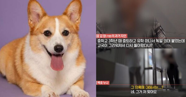 수상하던 백호 누나의 정체가 드디어 베일을 벗었다. ⓒSBS