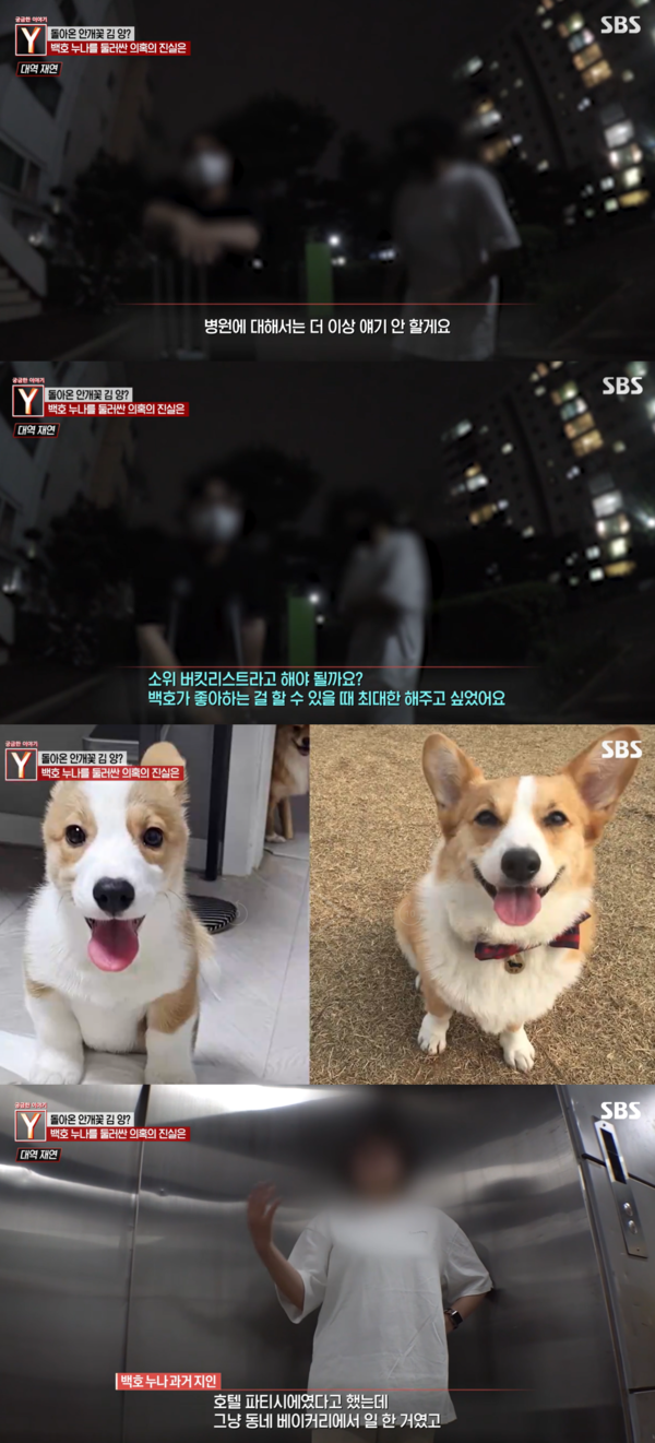 백호가 떠난 후 또 다른 반려견을 들인 백호 누나 ⓒSBS