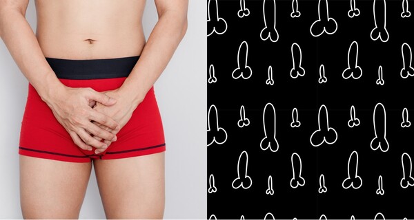 자료사진 ⓒadobestock