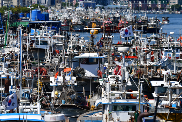 6일 오후 경북 포항시 북구 동빈내항에는 제6호 태풍 '카눈' 북상 소식에 일찍 조업을 마친 어선들이 피항하고 있다. 기상청은 기상청은 오는 수요일인 9일부터 금요일 11일까지 전국 대부분 지역이 태풍 영향을 받을 수 있다며 안전에 유의할 것을 당부했다. (2023.8.6) ⓒ뉴스1