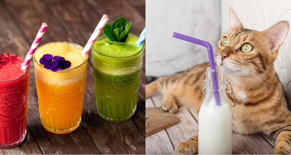 빨대 자료사진 ⓒAdobe Stock