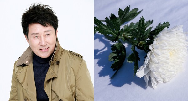 배우 노영국(좌), 국화 자료사진(우)&nbsp;