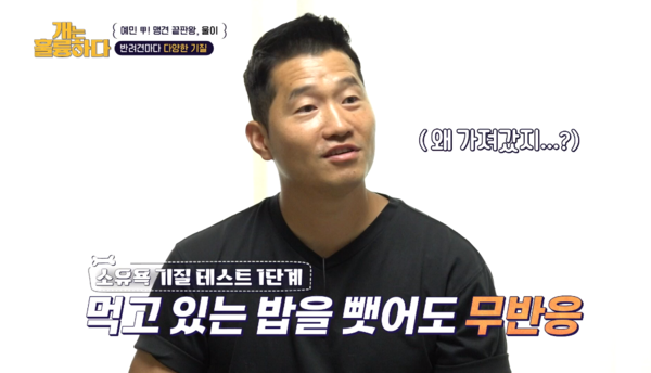 밥에 손 대면 '으르렁' 강형욱이 소유욕이 강한 반려견을 훈련하는 '소파 훈육법'을 공개했는데 별표 치고 밑줄 쫙이다(개훌륭)