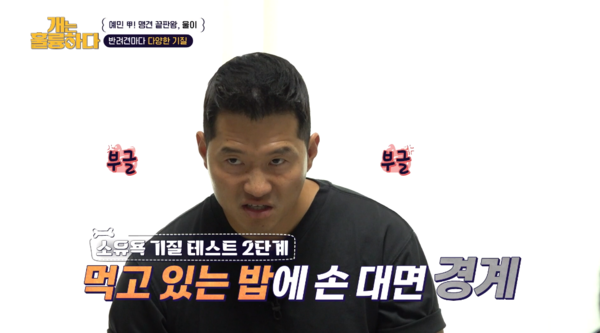 9일 방송된 KBS 2TV 프로그램 '개는 훌륭하다' 방송 장면&nbsp;ⓒ&nbsp;KBS 2TV